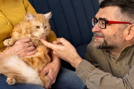 Common Myths About Pet Care Estate Planning Debunked - Cross-Border Worldwide