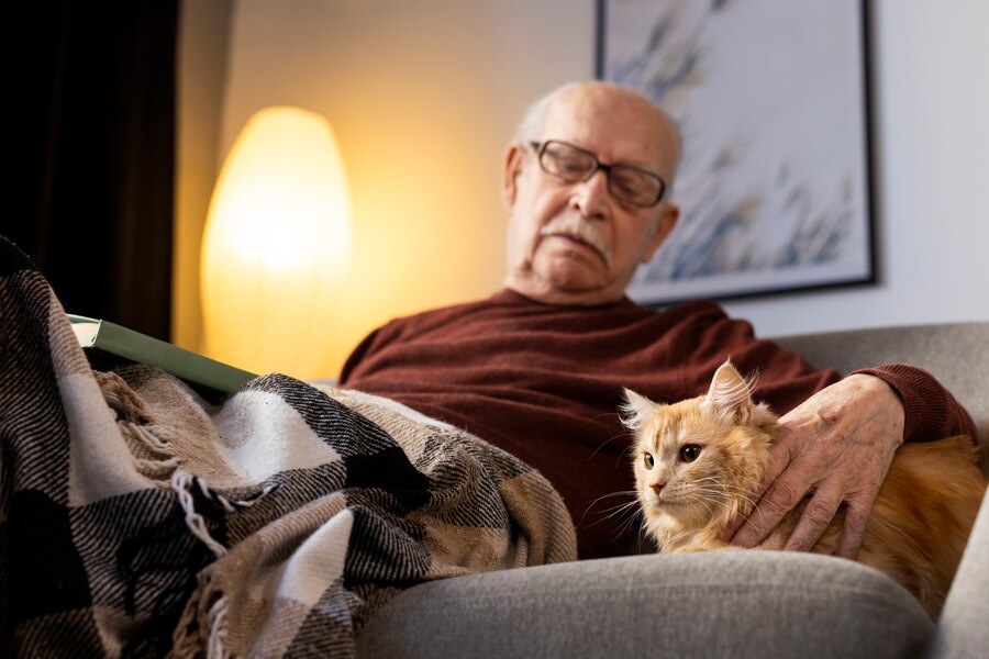 Case Studies: How Our Pet Care Estate Plan Helped