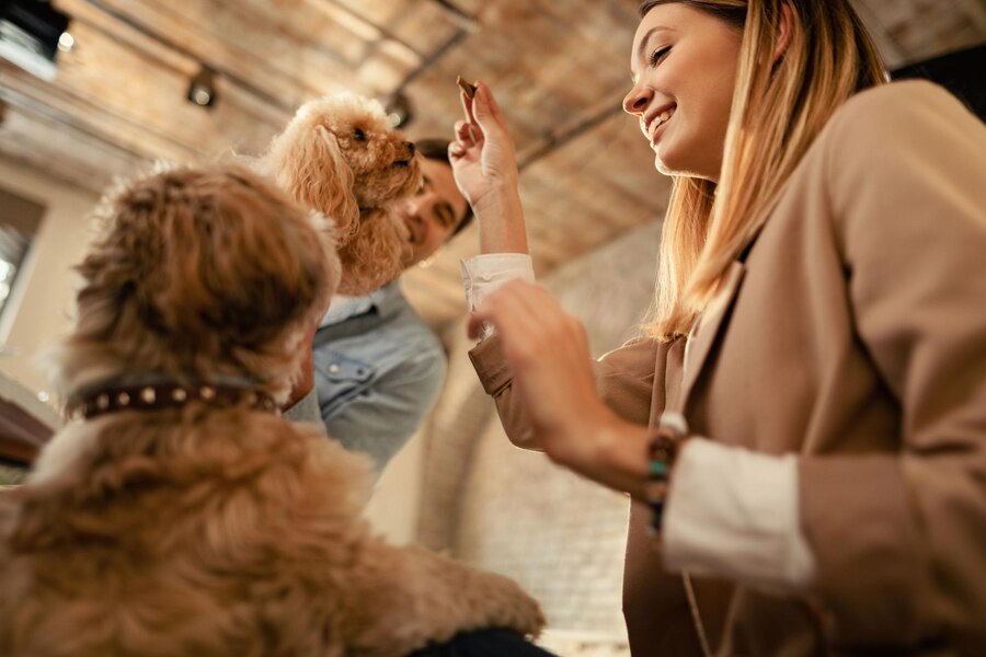 Why Every Pet Owner Should Consider Estate Planning - Cross-Border Worldwide