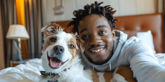 Understanding Pet Trusts: A Guide for Pet Owners - Cross-Border Worldwide