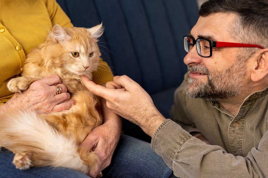Common Myths About Pet Care Estate Planning Debunked - Cross-Border Worldwide